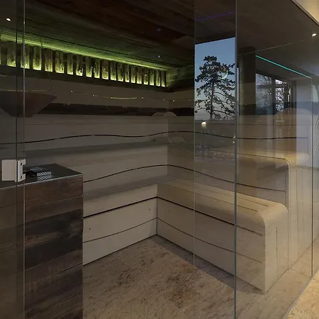 酒店 Wellnesshotel Schoenblick 4*